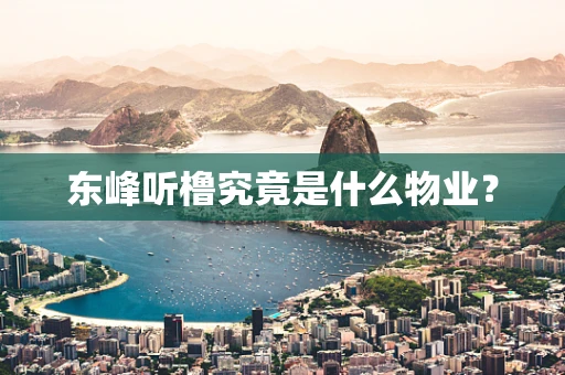 东峰听橹究竟是什么物业？