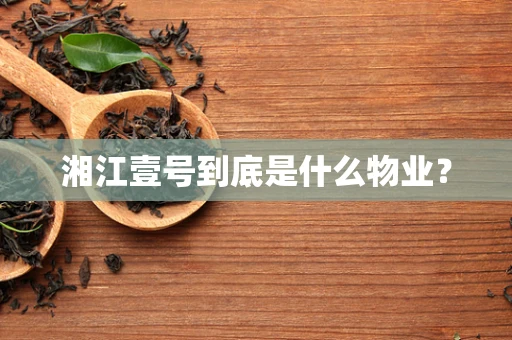 湘江壹号到底是什么物业？