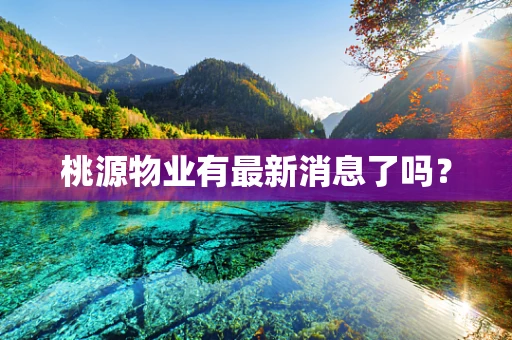 桃源物业有最新消息了吗？