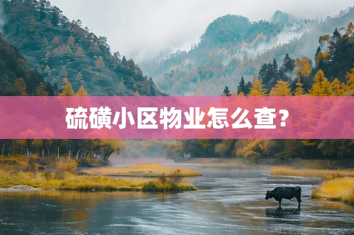 硫磺小区物业怎么查？