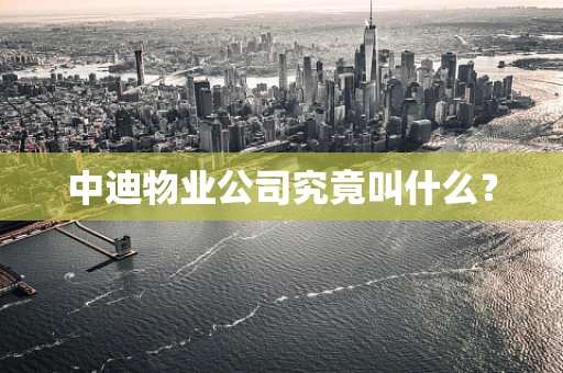 中迪物业公司究竟叫什么？