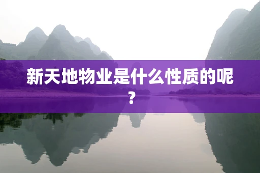 新天地物业是什么性质的呢？
