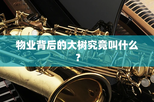 物业背后的大树究竟叫什么？