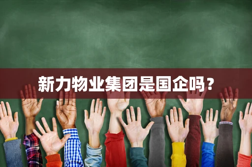 新力物业集团是国企吗？