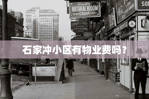 石家冲小区有物业费吗？