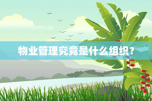 物业管理究竟是什么组织？