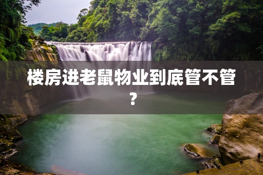 楼房进老鼠物业到底管不管？