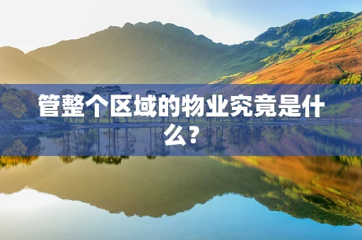 管整个区域的物业究竟是什么？