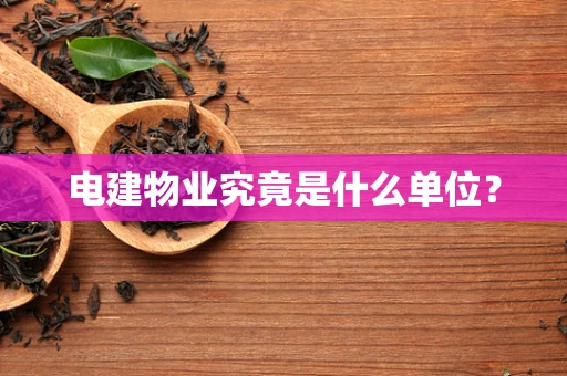 电建物业究竟是什么单位？