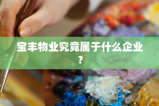 宝丰物业究竟属于什么企业？