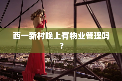 西一新村晚上有物业管理吗？