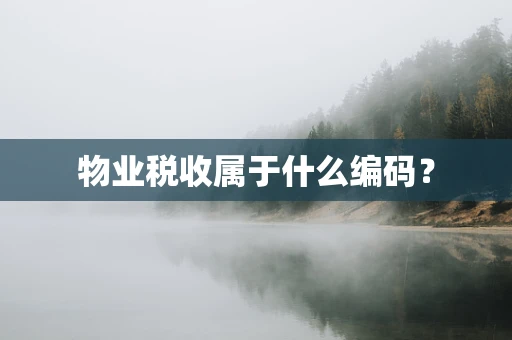 物业税收属于什么编码？