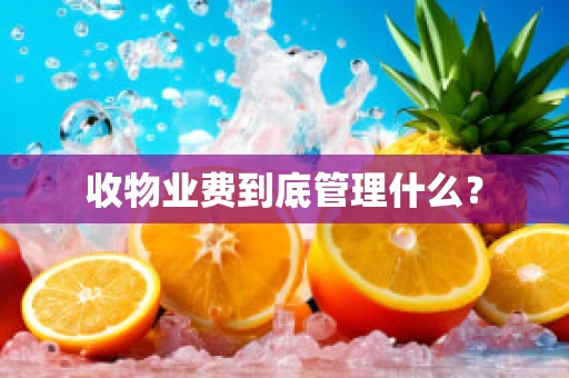 收物业费到底管理什么？
