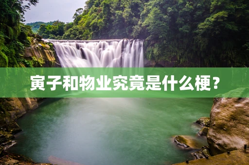 寅子和物业究竟是什么梗？