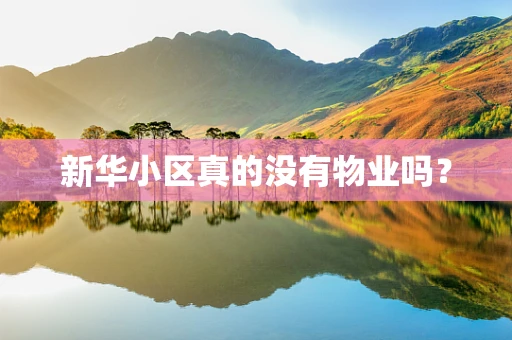 新华小区真的没有物业吗？