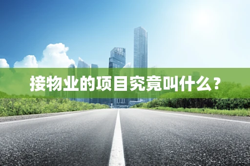 接物业的项目究竟叫什么？