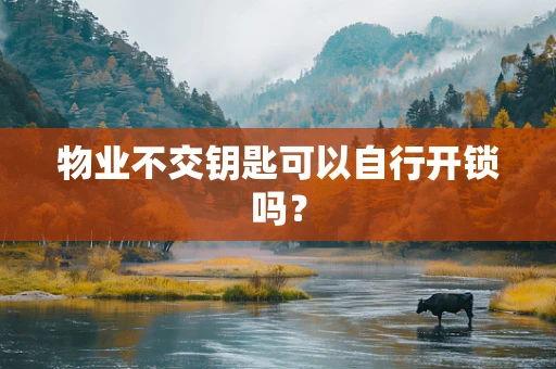 物业不交钥匙可以自行开锁吗？
