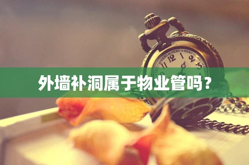 外墙补洞属于物业管吗？
