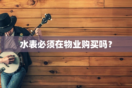 水表必须在物业购买吗？