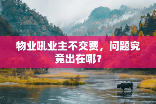 物业吼业主不交费，问题究竟出在哪？