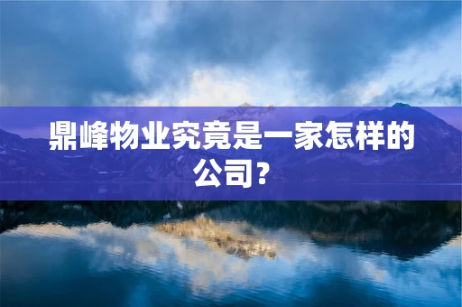 鼎峰物业究竟是一家怎样的公司？