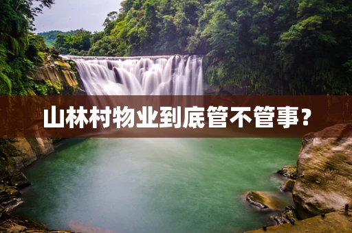 山林村物业到底管不管事？
