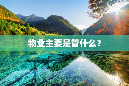 物业主要是管什么？