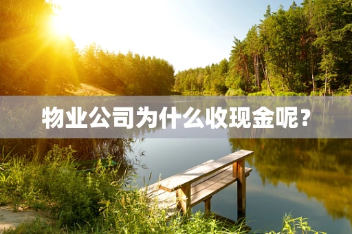 物业公司为什么收现金呢？