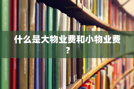 什么是大物业费和小物业费？