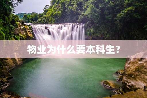 物业为什么要本科生？
