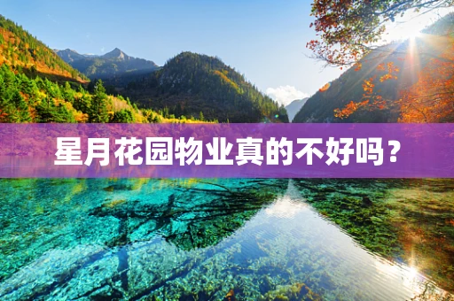 星月花园物业真的不好吗？