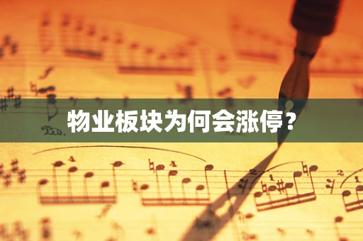 物业板块为何会涨停？