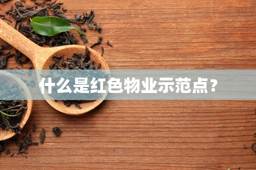 什么是红色物业示范点？