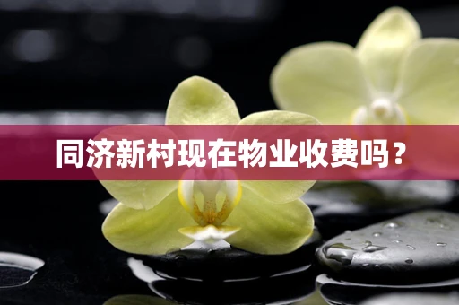 同济新村现在物业收费吗？