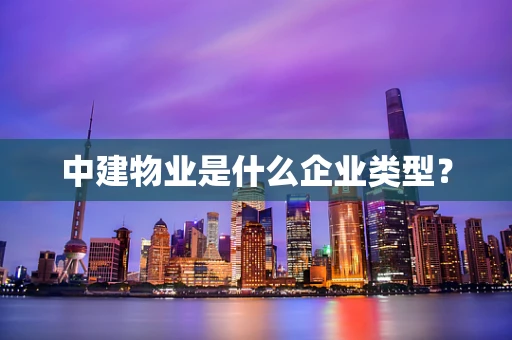 中建物业是什么企业类型？