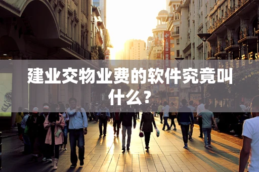 建业交物业费的软件究竟叫什么？
