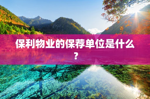保利物业的保荐单位是什么？
