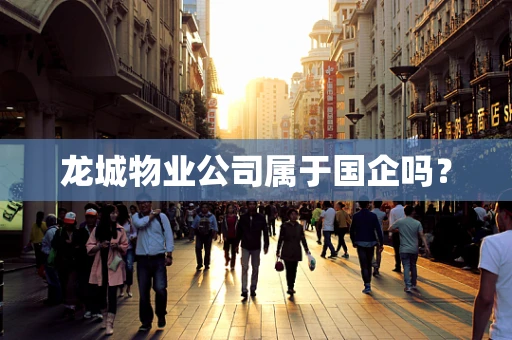龙城物业公司属于国企吗？
