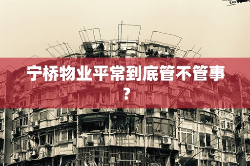 宁桥物业平常到底管不管事？