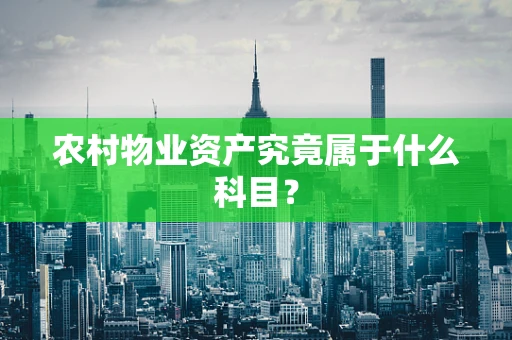 农村物业资产究竟属于什么科目？