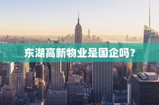 东湖高新物业是国企吗？