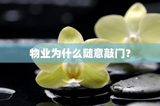 物业为什么随意敲门？