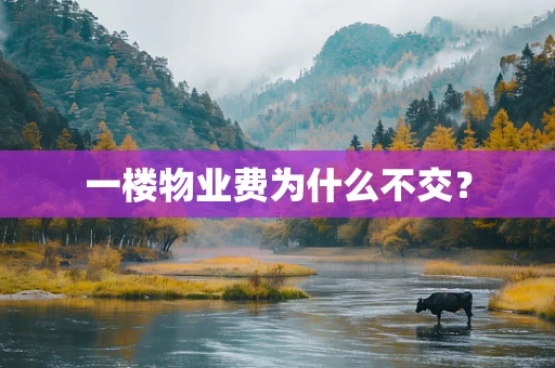 一楼物业费为什么不交？
