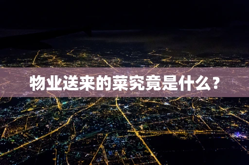 物业送来的菜究竟是什么？