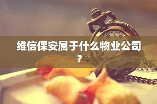 维信保安属于什么物业公司？