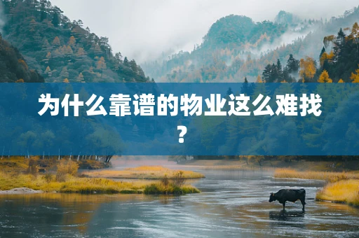 为什么靠谱的物业这么难找？