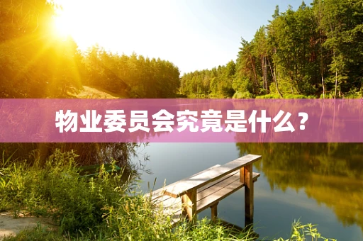物业委员会究竟是什么？