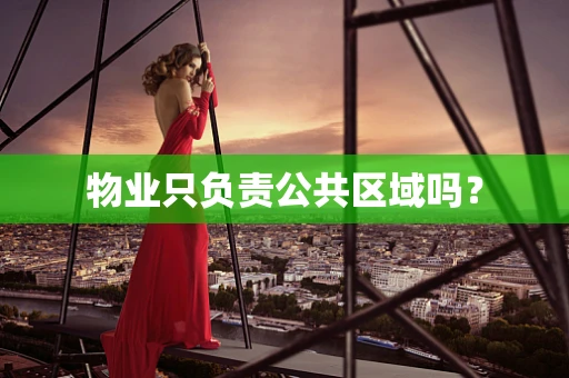 物业只负责公共区域吗？