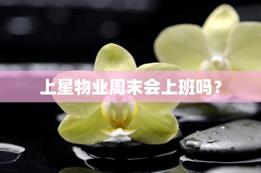 上星物业周末会上班吗？