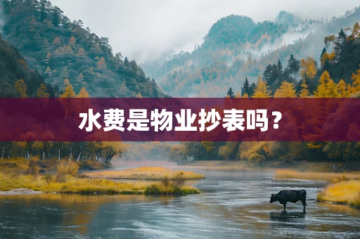 水费是物业抄表吗？